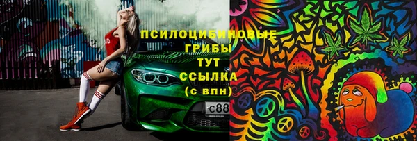 дмт Алексеевка