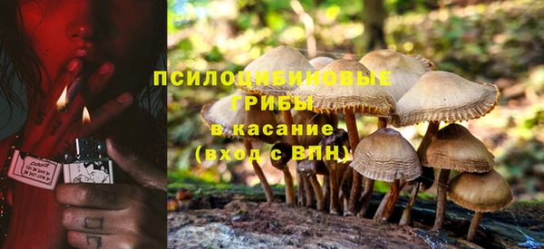 дмт Алексеевка